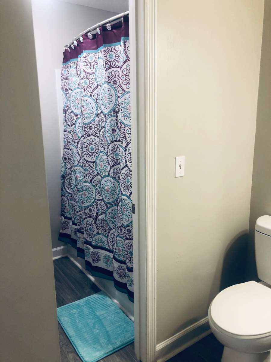 a shower curtain in a bathroom